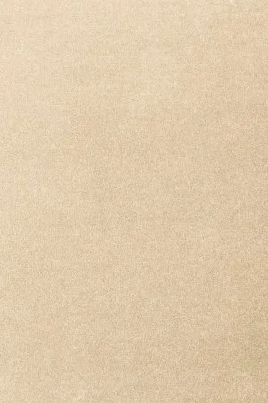 Ковровое покрытие AW Oinone 34 - (5м) в Сургуте