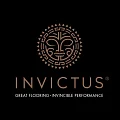 ПВХ плитка Invictus купить в Сургуте по выгодной цене ПВХ плитка Invictus в Сургуте