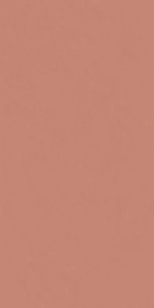 Керамогранит Italon Серфейс Скарлетт (Патинированная, 60x120) в Сургуте