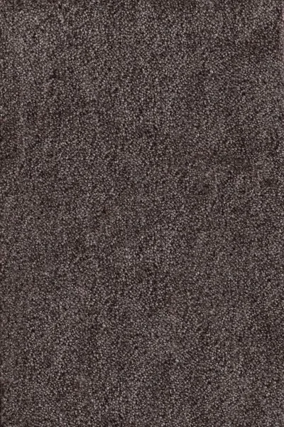 Ковровое покрытие AW Messalina 44 - (4м) в Сургуте