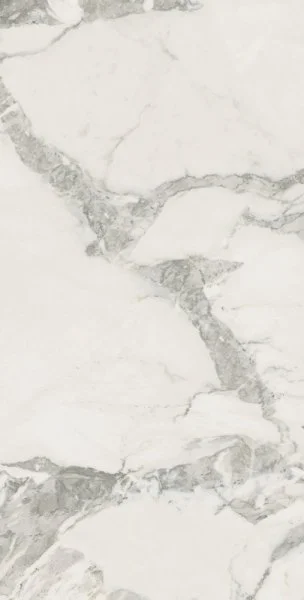 Керамогранит Coliseum Микеланджело Колд 60х120 (Натуральный и Реттифицированный) в Сургуте