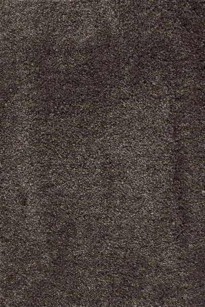 Ковровое покрытие AW Fedone 44 - (5м) в Сургуте