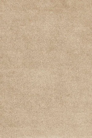 Ковровое покрытие AW Omphale 37 - (4м) в Сургуте