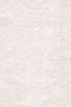 Ковровое покрытие AW Euphoria 03 - (5м) в Сургуте