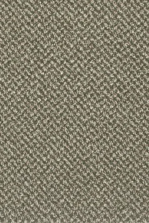 Ковровое покрытие AW Stainaway Tweed 24 - (4м) в Сургуте