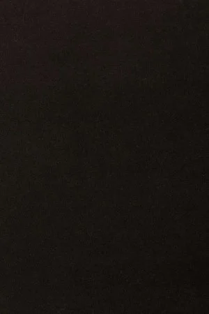 Ковровое покрытие AW Oinone 99 - (4м) в Сургуте