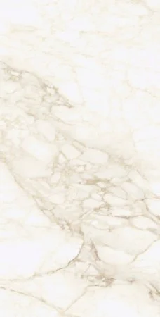 Керамогранит Coliseum Микеланджело Ворм 60х120 (Натуральный и Реттифицированный) в Сургуте