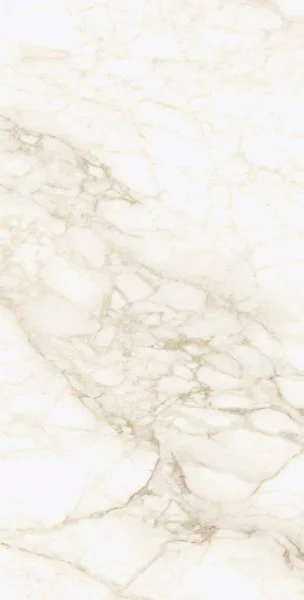 Керамогранит Coliseum Микеланджело Ворм 60х120 (Натуральный и Реттифицированный) в Сургуте