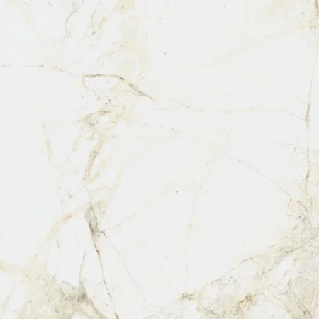 Керамогранит Coliseum Канова Уайт 60х60 (Натуральный и Реттифицированный) в Сургуте