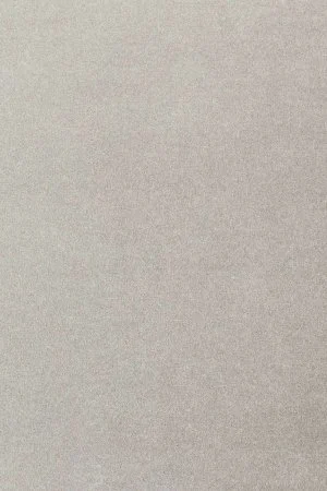 Ковровое покрытие AW Oinone 92 - (4м) в Сургуте