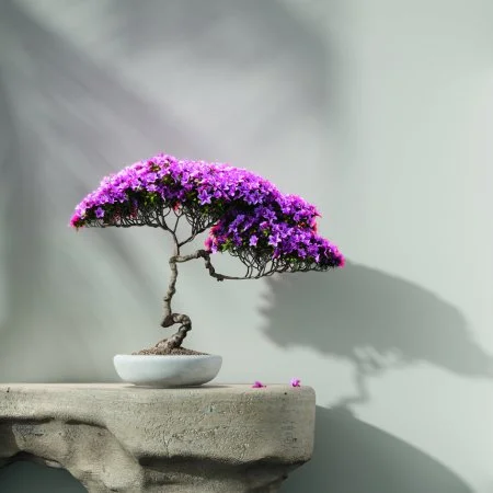 Обои Loymina Lotus LOT1 112 в Сургуте