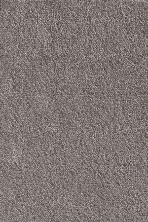 Ковровое покрытие AW Messalina 49 - (5м) в Сургуте