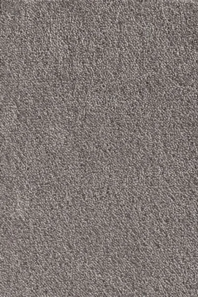 Ковровое покрытие AW Messalina 49 - (5м) в Сургуте