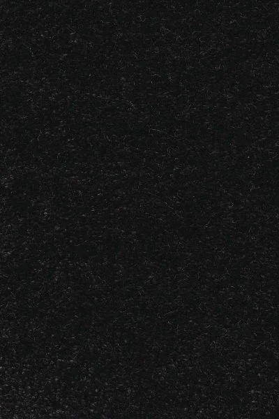 Ковровое покрытие AW Euphoria 99 - (5м) в Сургуте