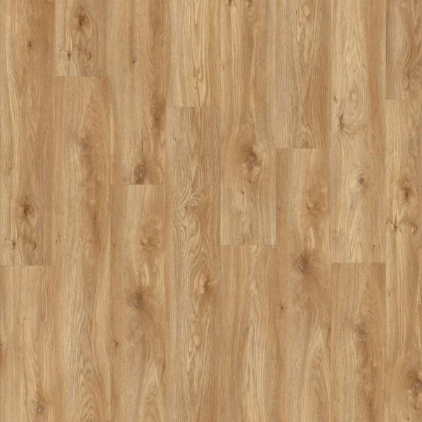 LVT-плитка Moduleo Roots Glue 0.55 EIR Sierra Oak 58346Q в Сургуте