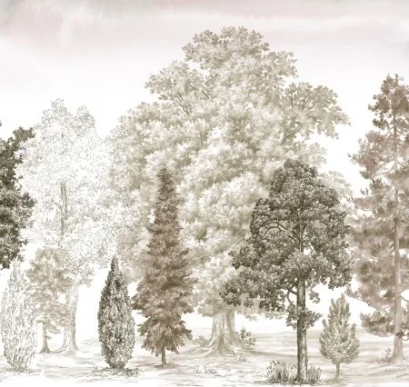 Обои Loymina Пейзаж vol. 2 ART14 012 в Сургуте