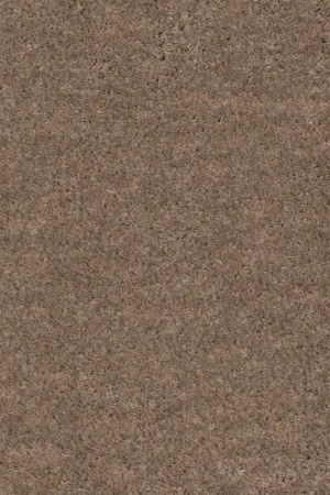 Ковровое покрытие AW Euphoria 36 - (4м) в Сургуте