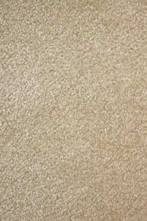 Ковровое покрытие AW Euphoria 33 - (5м) в Сургуте