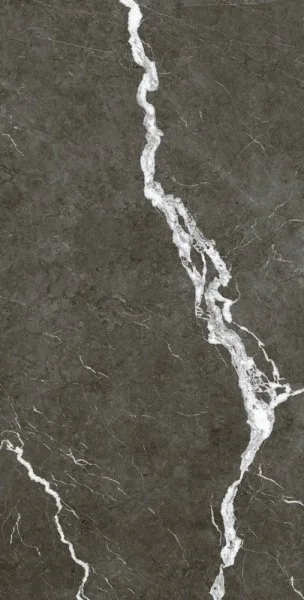 Керамогранит Coliseum Микеланджело Дарк 60х120 (Натуральный и Реттифицированный) в Сургуте