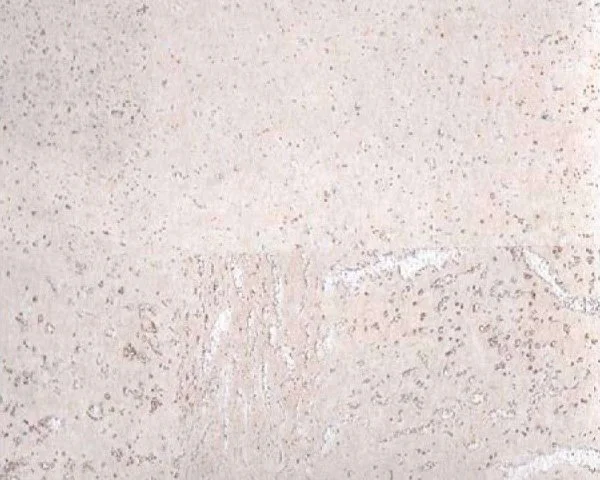 Настенное пробковое покрытие CorkArt PW 386 WS в Сургуте