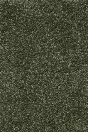 Ковровое покрытие AW Certosa 24 - (4м) в Сургуте