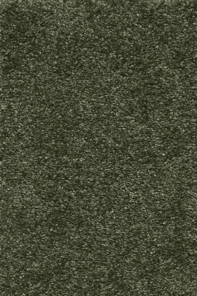 Ковровое покрытие AW Certosa 24 - (4м) в Сургуте