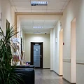Коллекция Office Tile 2.5 мм (0.5 защ) в Сургуте