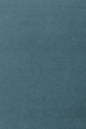 Ковровое покрытие AW Oinone 74 - (4м) в Сургуте