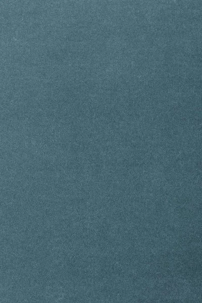 Ковровое покрытие AW Oinone 74 - (5м) в Сургуте