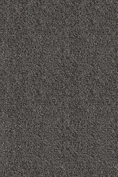 Ковровое покрытие AW Messalina 99 - (5м) в Сургуте