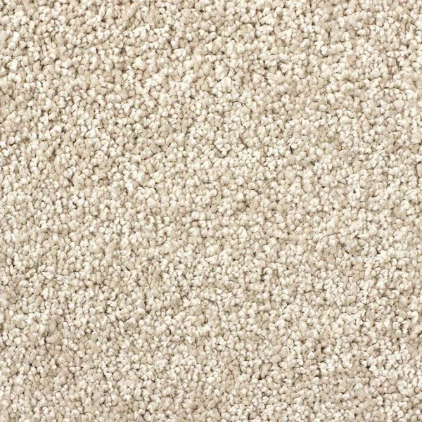 Ковровое покрытие Zartex Савойа 271 Топленое молоко - 3 м в Сургуте