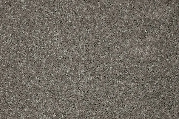 Ковровое покрытие AW Gala 94 - (5м) в Сургуте