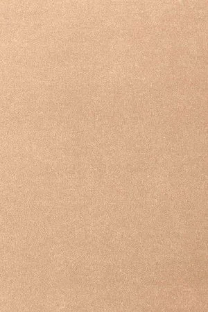 Ковровое покрытие AW Oinone 08 - (5м) в Сургуте