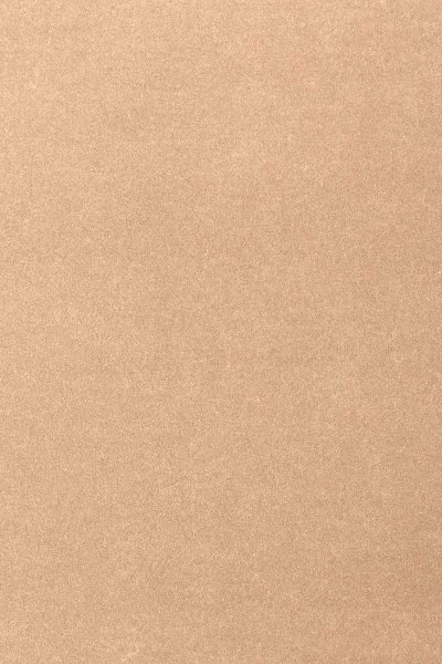 Ковровое покрытие AW Oinone 08 - (4м) в Сургуте