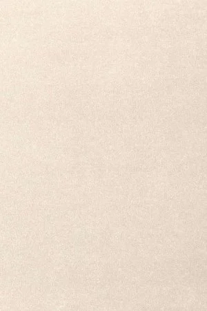 Ковровое покрытие AW Oinone 03 - (4м) в Сургуте