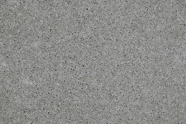 Ковровое покрытие AW Gala 90 - (4м) в Сургуте