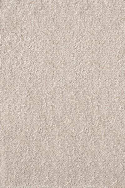 Ковровое покрытие AW Messalina 34 - (5м) в Сургуте