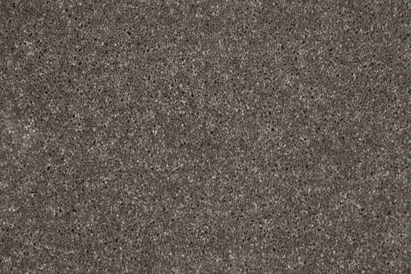 Ковровое покрытие AW Gala 49 - (4м) в Сургуте