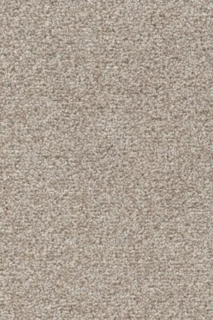 Ковровое покрытие AW Stainguard Harvest 04 - (4м) в Сургуте