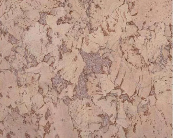 Настенное пробковое покрытие CorkArt PW 324 NK в Сургуте