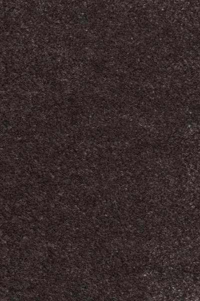 Ковровое покрытие AW Euphoria 43 - (4м) в Сургуте