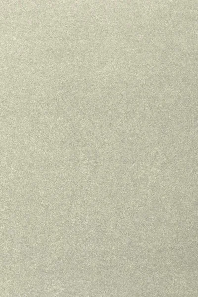 Ковровое покрытие AW Oinone 02 - (4м) в Сургуте