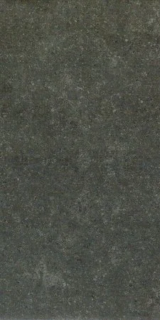 Керамогранит Italon Аурис Блэк Рет 30x60 в Сургуте