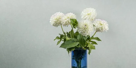 Обои Loymina Shade vol.2 SDR5, 001 в Сургуте