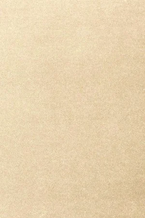 Ковровое покрытие AW Oinone 33 - (5м) в Сургуте