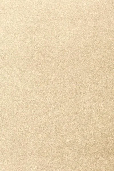 Ковровое покрытие AW Oinone 33 - (4м) в Сургуте