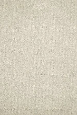 Ковровое покрытие AW Prima 30 - (4м) в Сургуте