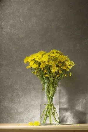 Обои Loymina Golden Library TDG 7, 008 в Сургуте