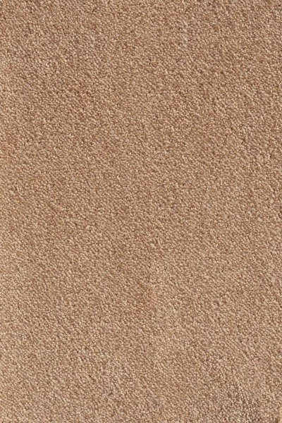 Ковровое покрытие AW Messalina 38 - (5м) в Сургуте