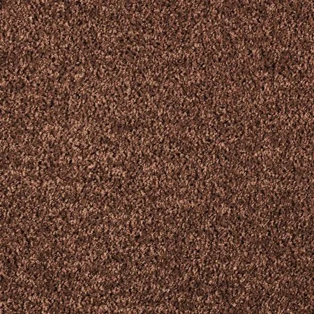 Ковровое покрытие AW Kiama 48 - (4м) в Сургуте